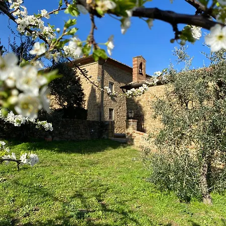 Podere Cavalbianco Holiday home Ciggiano